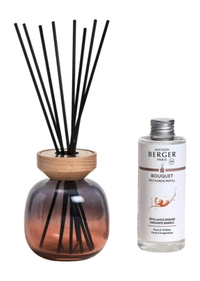 Maison Berger Wood Geurstokjes Gris Rouge / Bois Clair 180ML Pétillance Exquise