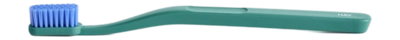 HAY Tann Toothbrush Tandenborstel Pine Green And Blue